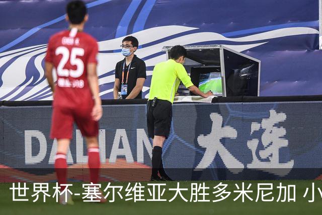 世界杯-塞尔维亚大胜多米尼加 小组第二进八强